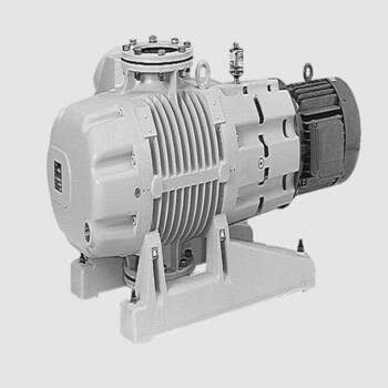 Ruvac Wau 1001